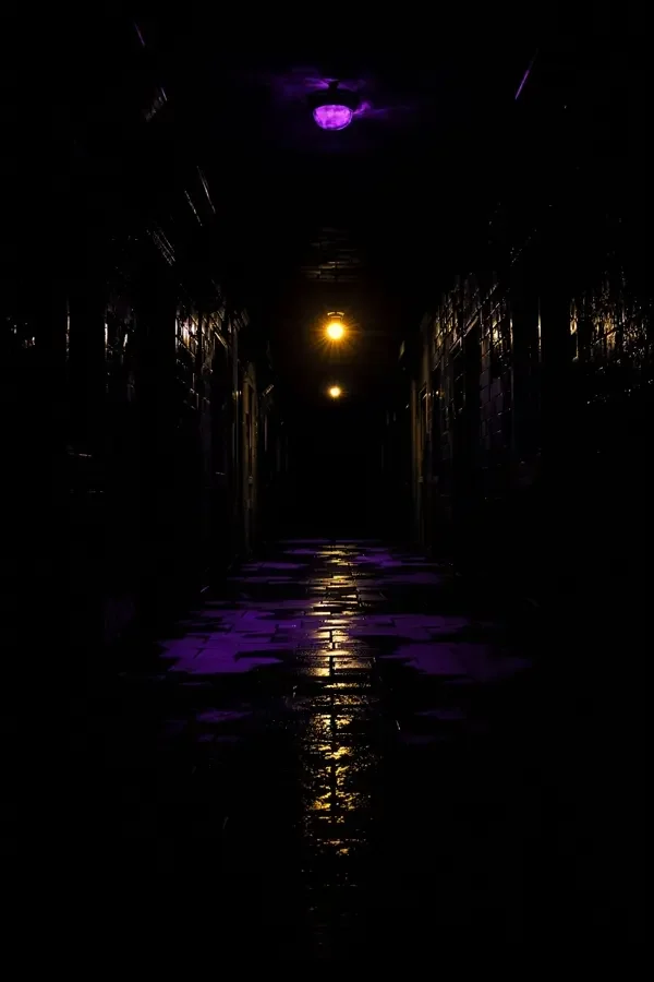 午夜回声 高清海报